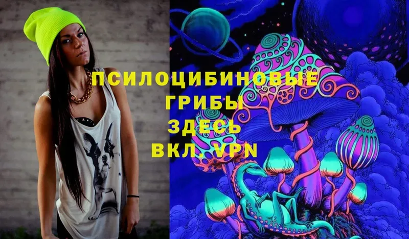 Галлюциногенные грибы Cubensis  купить  сайты  Болхов 