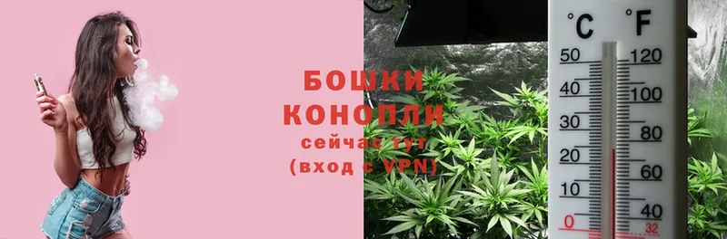 Бошки марихуана LSD WEED  omg маркетплейс  Болхов 